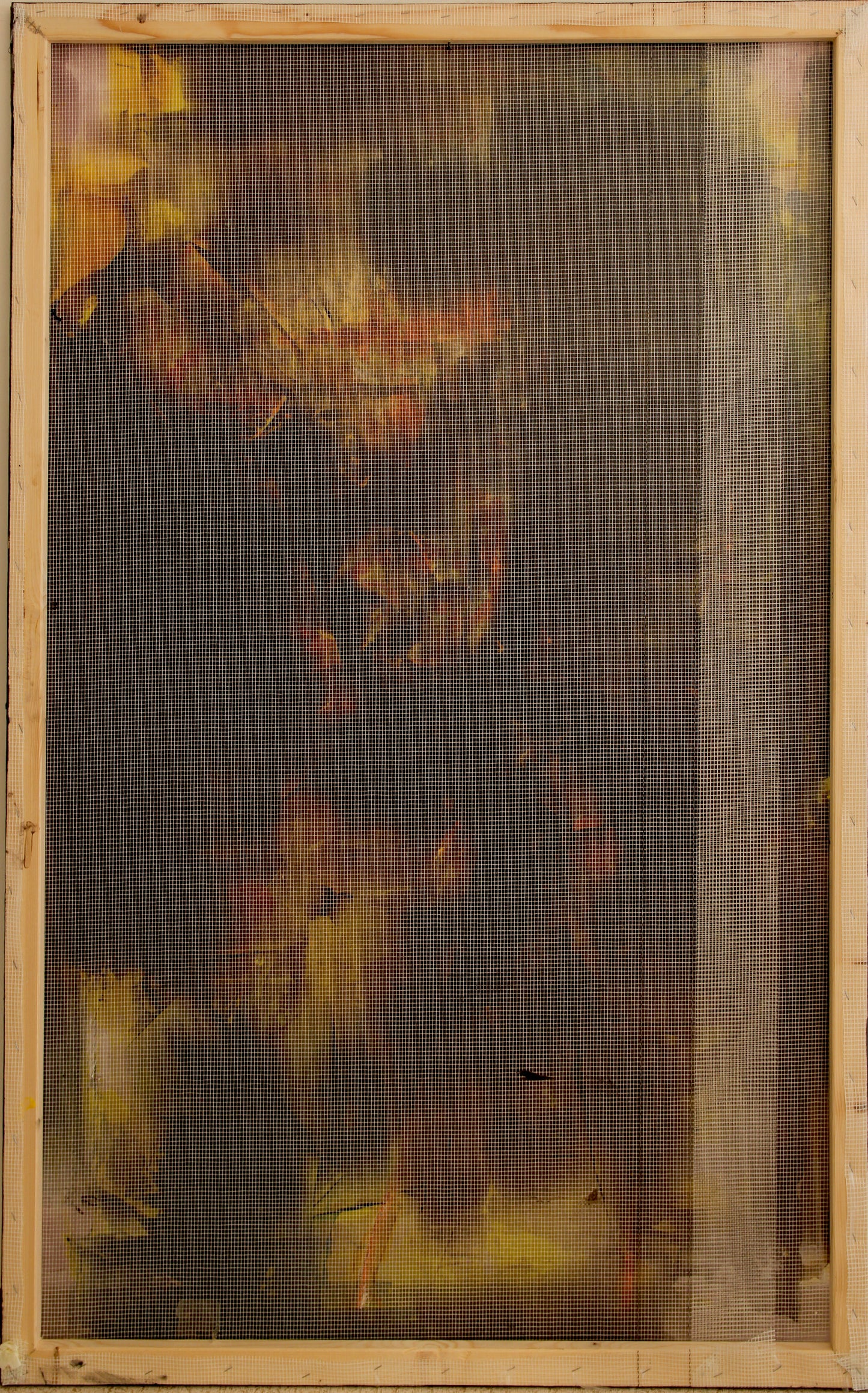 Spiegelbild der Geschichte
